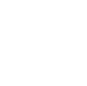 IDS logo